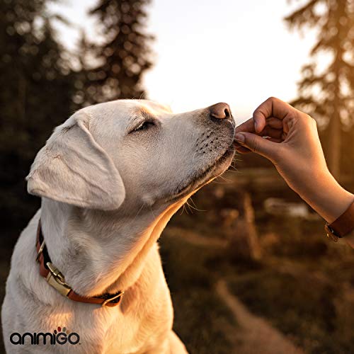 Animigo Linaza en Cápsulas Antialergico para Gatos y Perros | Suplemento Natural con Omega 3, Vitaminas, Minerales y Nutrientes para Alergia | Fortalece y Protege el Pelo y la Piel | 60 Cápsulas Gel