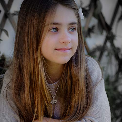 Aniu Collares Mujer Plata de Ley 925, Colgante Elefante, Animal, Regalos Originales para Mamá, Madre, Mi Novia, Pareja, Cumpleaños y Boda, Ven con una Caja de Joyas, Cadena de 46cm