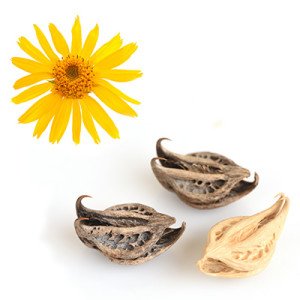 Anticelulitis Crema Fría Anticelulítica Adelgazante con EFECTO FRÍO ● Drenante y Quema Grasa con Algas Marinas y Caféina ●, 200 ml