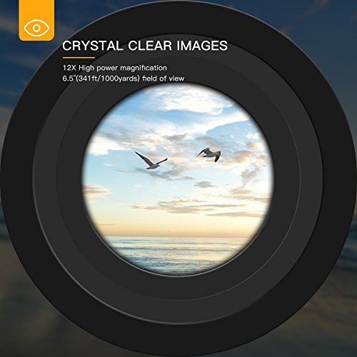 APEMAN 12x25 Prismáticos Binoculares Plegable,Mini Prismáticos Portátiles Compactos Ligeros para Adultos y Niños con Vidrio Óptico y Película FMC Verde