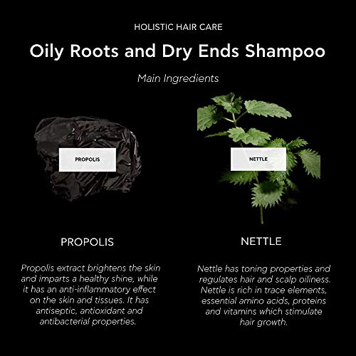 Apivita - Champú equilibrante raíz grasa puntas secas