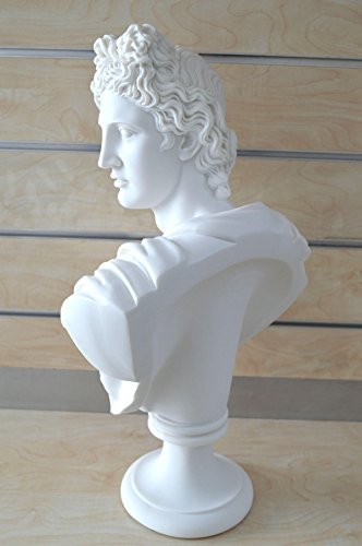 Apollo Busto Escultura de dios griego antiguo dios de sol y poesía Grand Estatua