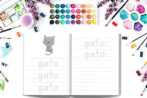 Aprendamos el abecedario: Libro para repasar las letras: +3 años: Cuaderno de actividades para practicar la escritura y vocabulario básico con ... comprensión lectora y expresión escrita)