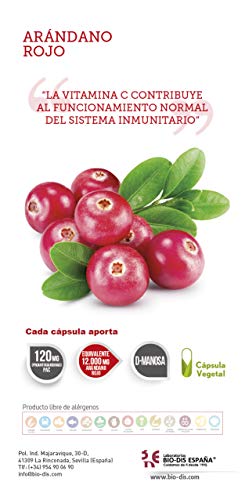 Arándano rojo extracto seco 240 mg (120 mg PAC) 30 cápsulas vegetales con Gayuba, D-manosa, vitamina C y cobre
