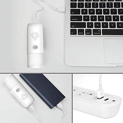 Arespark Pulverizador de Niebla Facial Nano, 30ml Mini Vaporizador Facial Portátil, Práctico Pulverizador de Niebla Fría, Recargable por USB, Hidratante para el Cuidado de La Piel, Maquillaje