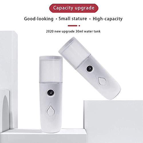 Arespark Pulverizador de Niebla Facial Nano, 30ml Mini Vaporizador Facial Portátil, Práctico Pulverizador de Niebla Fría, Recargable por USB, Hidratante para el Cuidado de La Piel, Maquillaje