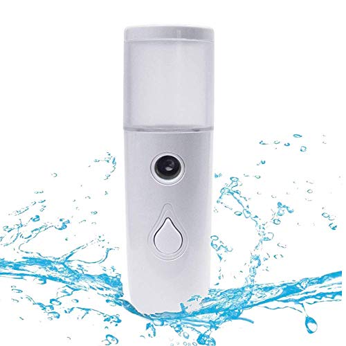 Arespark Pulverizador de Niebla Facial Nano, 30ml Mini Vaporizador Facial Portátil, Práctico Pulverizador de Niebla Fría, Recargable por USB, Hidratante para el Cuidado de La Piel, Maquillaje