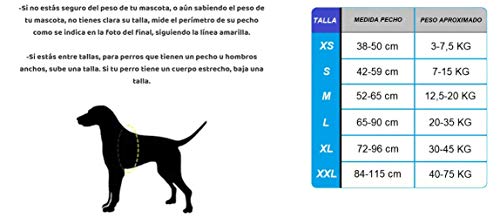 Arnés Personalizado para Perros - Estampado - Arnés para Perros Reflectante - Incluye 2 Etiquetas con Nombre - Todos los Tamaños - De Calidad y Resistente (XS 3-7,5KG, CÓMIC)
