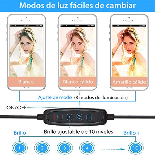 Aro de Luz LED Anillo de Luz Regulable 10" para Fotografía Ring Light con Trípode y Soporte para Movíl 120 Bulbs Dimmable for Youtube Video/Live Stream/Makeup/Photography (10‘’)