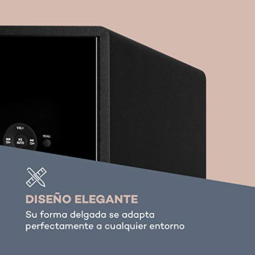 auna Line 100 A 2.0 Altavoz de pie - 3 vías , Subwoofer 20 cm (8") , Potencia: 2 x 40 W RMS , Altura: 60,5 cm , Bluetooth , Sintonizador Radio FM , Puerto USB , Ranura SD , Audio estéreo