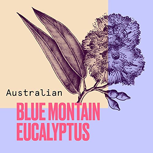 Aussie Mega Acondicionador Acondiciona A Diario, Con Eucalipto De Las Montañas Azules Australianas - 200 ml