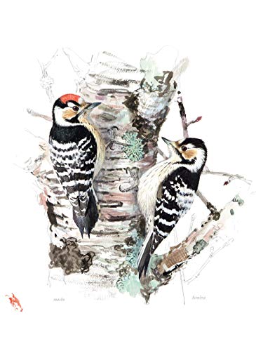 Aves que veo en invierno (VARIOS)