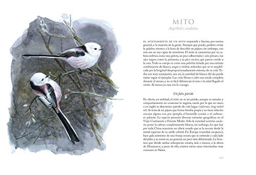 Aves que veo en invierno (VARIOS)