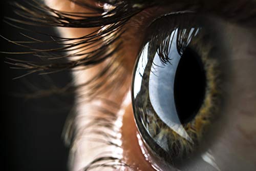 Avizor Frasco de 10ml de gotas oculares para aliviar los síntomas de la irritación ocular. (Lacrifresh Ocu-Dry 0.20%)