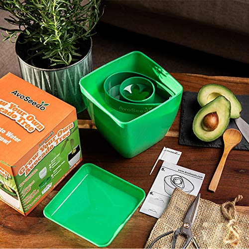 AvoSeedo Kit Jardineria para Aguacate - Gadget Decoracion Casa con Maceta Y Decoracion Habitacion/Uso Interior o Exterior / Regalos Originales para Mujer e Ideas Regalos para Hombre En Navidad