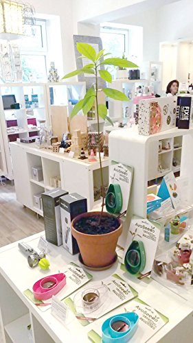 AvoSeedo Kit Jardineria para Aguacate - Gadget Decoracion Casa con Maceta Y Decoracion Habitacion/Uso Interior o Exterior / Regalos Originales para Mujer e Ideas Regalos para Hombre En Navidad