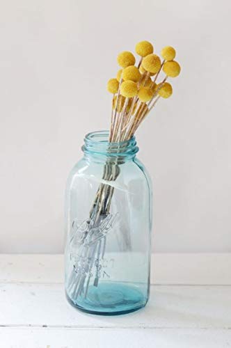 Ball Mason Jars - Tarros de cristal de color azul agua con boca regular de 946 ml, paquete de 4 con libro de recetas (idioma español no garantizado)