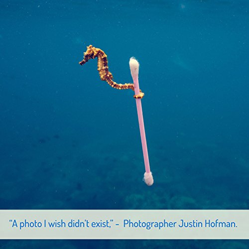 Bastoncillos para Oídos de Bambú | Bastoncillos Ecológicos | Palillos Limpiadores de Oídos | Bastoncillos de Madera | Biodegradables | Bote Dispensador Ecológico | 400 Unidades | Bambaw