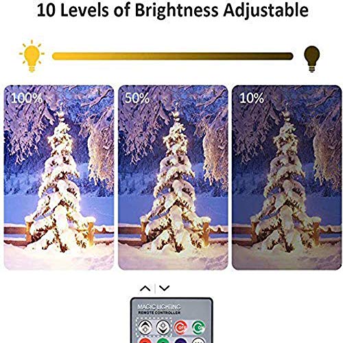 Bellanny Luz de Inundación LED RGB para Exteriores 10W, Foco LED RGB IP67 Impermeable con 4 modos y 16 colores, Control Remoto, para Jardín, Fiestas, Decoración (Conservar la Última Ajuste)