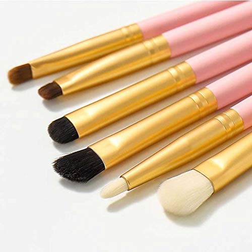 Belleza 6 Conjuntos de Cepillo de Sombra de Ojos, Todos los Tipos de Alto Valor, Tutoriales, fácil for los Principiantes Sets de brochas