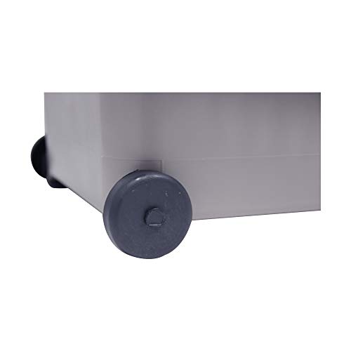 Bellota 5800-3 - Cubo de plástico para alicatador con escurridor de 20 litros