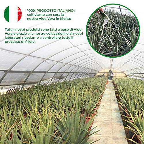 Benessence - DETERGENTE ÍNTIMO DELICADO ORGÁNICO en Aloe Vera Orgánico - 250 ml pH 4