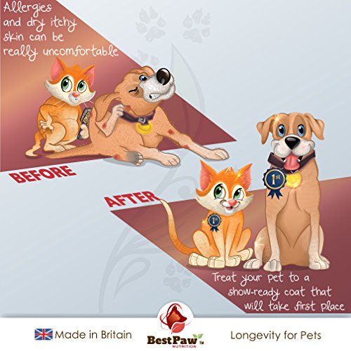 Best Paw Nutrition - Omega 3 6 9 cápsulas de Aceite de Pescado para Perros, Gatos y Mascotas - Premium 100% Natural Fish Oil Supplement For Dogs, Cats and Pets