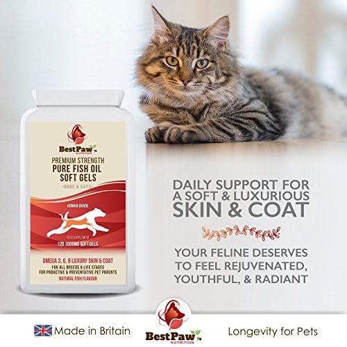 Best Paw Nutrition - Omega 3 6 9 cápsulas de Aceite de Pescado para Perros, Gatos y Mascotas - Premium 100% Natural Fish Oil Supplement For Dogs, Cats and Pets