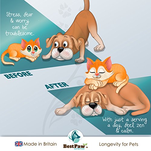 Best Paw Nutrition - Pastillas calmantes para Perros 120 Pastillas relajantes de acción rápida y Alivio de la ansiedad para Perros ansiosos - Calming Tablets For Dogs