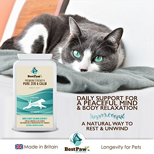 Best Paw Nutrition - Pastillas calmantes para Perros 120 Pastillas relajantes de acción rápida y Alivio de la ansiedad para Perros ansiosos - Calming Tablets For Dogs