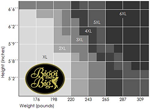 BIGGI BIG Soft Matt 20 DENIER medias gran tamaño-maquillaje-52-54