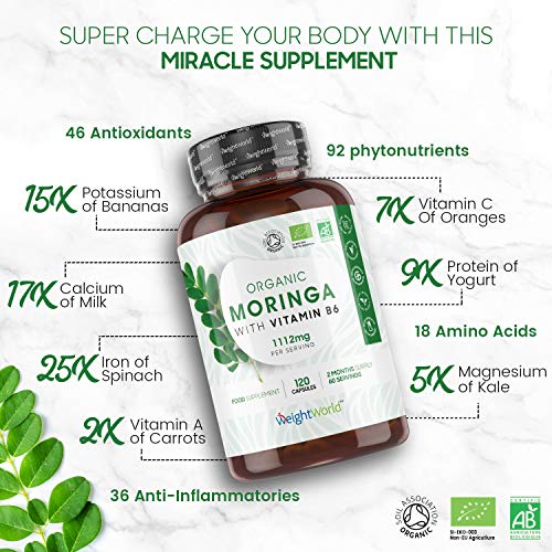 Bio Moringa Oleifera Orgánica Pura Alta Dosis 1112 mg - Antiflamatorio natural y Antioxidante, Activa Sistema Inmune, Aumenta Energía y Metabolismo, Con Vitamina B6, Mejora Digestión, 120 Cápsulas