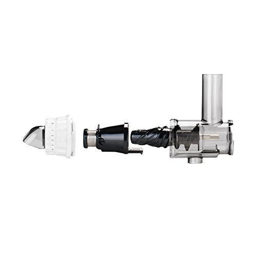 BioChef Axis Cold Press Juicer - Extractor de zumo horizontal, Procesador de alimentos, BPA Free y Silencioso. 20 Años de Garantía (Plata)