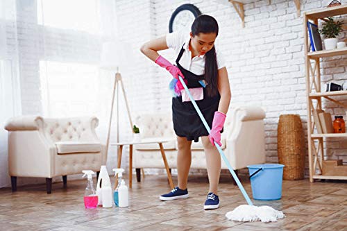 BiOHY Limpiador multiuso, Limpiador de alcohol, Limpiador universal (1 botella de 1 litro) | Limpiador Profesional de Mantenimiento - Producto de Limpieza ecológico (Allzweckreiniger)