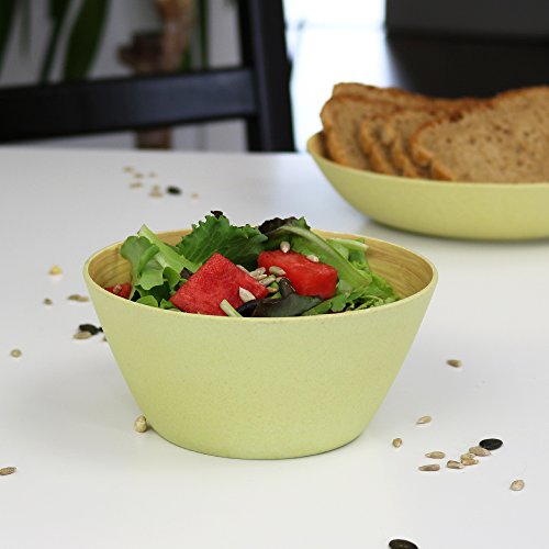 BIOZOYG 4 Piezas Cuenco de bambú de Primera Calidad Marfil a 460 ml I vajillade bambú Cuenco de Cereales Cuenco de Fruta Cuenco de Madera Cuenco de la Ensalada Cuenco de la decoración