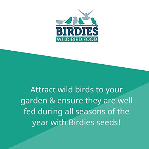 Birdies - Cacahuetes para pájaros Silvestres