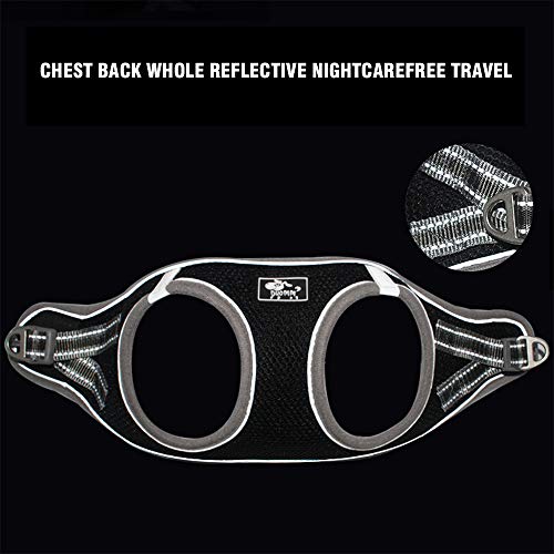 BLEVET Arnés Reflector Respirante Pequeña Chaleco Arnés Ajustable Mascotas Arnés para Perros Grandes, Cachorros MZ083 (XL, Blue)