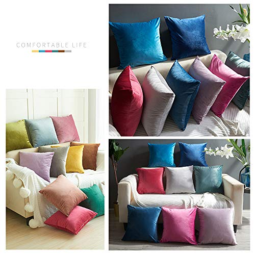 BlueCosto (2_Azul-B Terciopelo Fundas de Cojines Funda de cojín para sofá Almohada Dormitorio Coche Suave Decoración 45 x 45 cm
