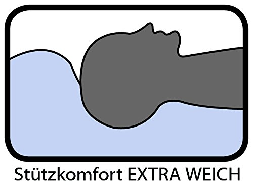 Böhmerwald 109605-34 - Almohada (plumón 100%, 40 x 80 cm, 325 g)