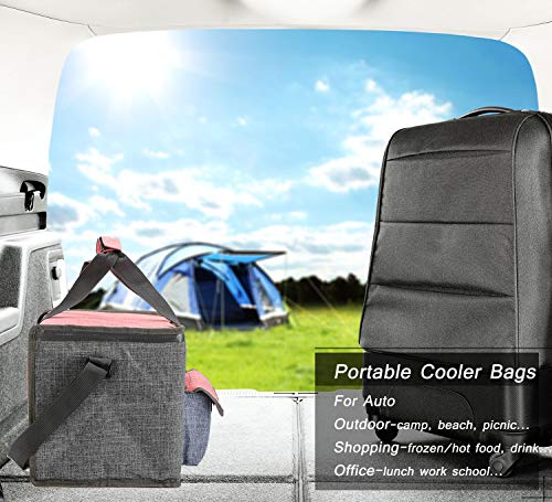 Bolsa termica 20litro, grande Bolsa nevera para picnic almuerzo camping playa barbacoa, Gray & Rojo (Gray & Rojo--20L)