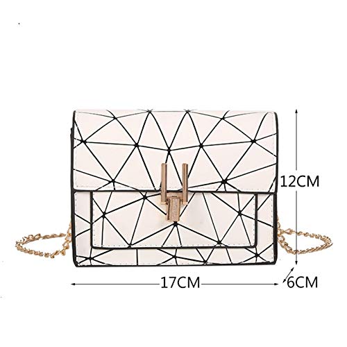 Bolso De Las Mujeres De Solo Bolso 2020 Otoño Nueva Versión Coreana De La Cadena Del Bolso Messenger Bag Hombro Salvaje De La Grieta Impresión Salvaje (Color : Silver, Size : 17cm*6cm*12cm)