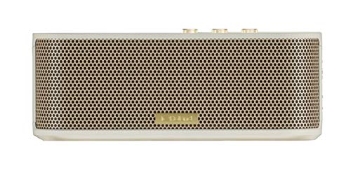 BOSS Altavoz Bluetooth BTM-1 con entrada de guitarra