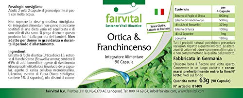 Boswellia Serrata + Ortiga - Suplemento VEGANO - Dosis elevada - mín. 65% de Ácidos Boswéllicos - 90 Cápsulas - Calidad Alemana