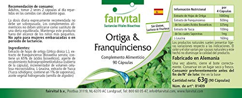 Boswellia Serrata + Ortiga - Suplemento VEGANO - Dosis elevada - mín. 65% de Ácidos Boswéllicos - 90 Cápsulas - Calidad Alemana