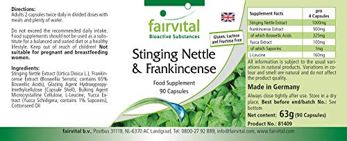 Boswellia Serrata + Ortiga - Suplemento VEGANO - Dosis elevada - mín. 65% de Ácidos Boswéllicos - 90 Cápsulas - Calidad Alemana