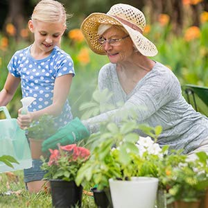 B.O.T cosmetic & wellness Aceite de Neem Virgen Prensado en Frío Primera Presión 100% Puro Bio Aceite Vegetal Non Refinado (1000 ml) Azadirachtin 3123.32 ppm.