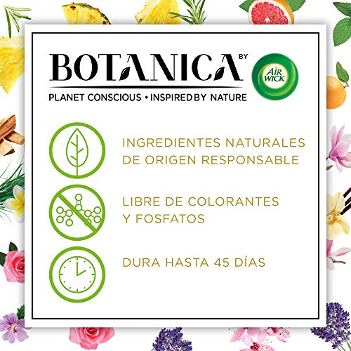 Botanica by Airwick Varitas Perfumadas - Ambientador Mikados, Esencia Para Casa Con Aroma A Pomelo Y Menta Marroquí - 100 ml