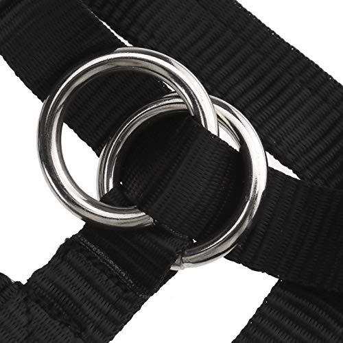 Bozal ajustable OTOTEC para perro, con hebilla, estilo halter, evita que los perros tiren de la nariz