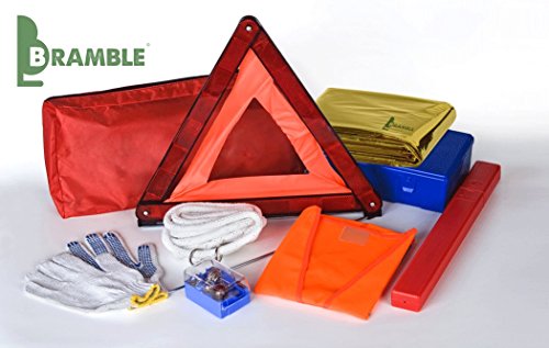 BRAMBLE! - 10 Piezas - Manta de Aluminio de Emergencia, Manta de Supervivencia Térmica, 210x160cm - Multi-Uso, Impermeable & Durable - Primeros Auxilios Kit Supervivencia Cámping etc.