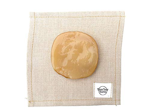 Brew Your Bucha Kobucha SCOBY con Starter Fluid. SCOBY cultivado con azúcar y té de oro negro Yunnan (1 SCOBY)
